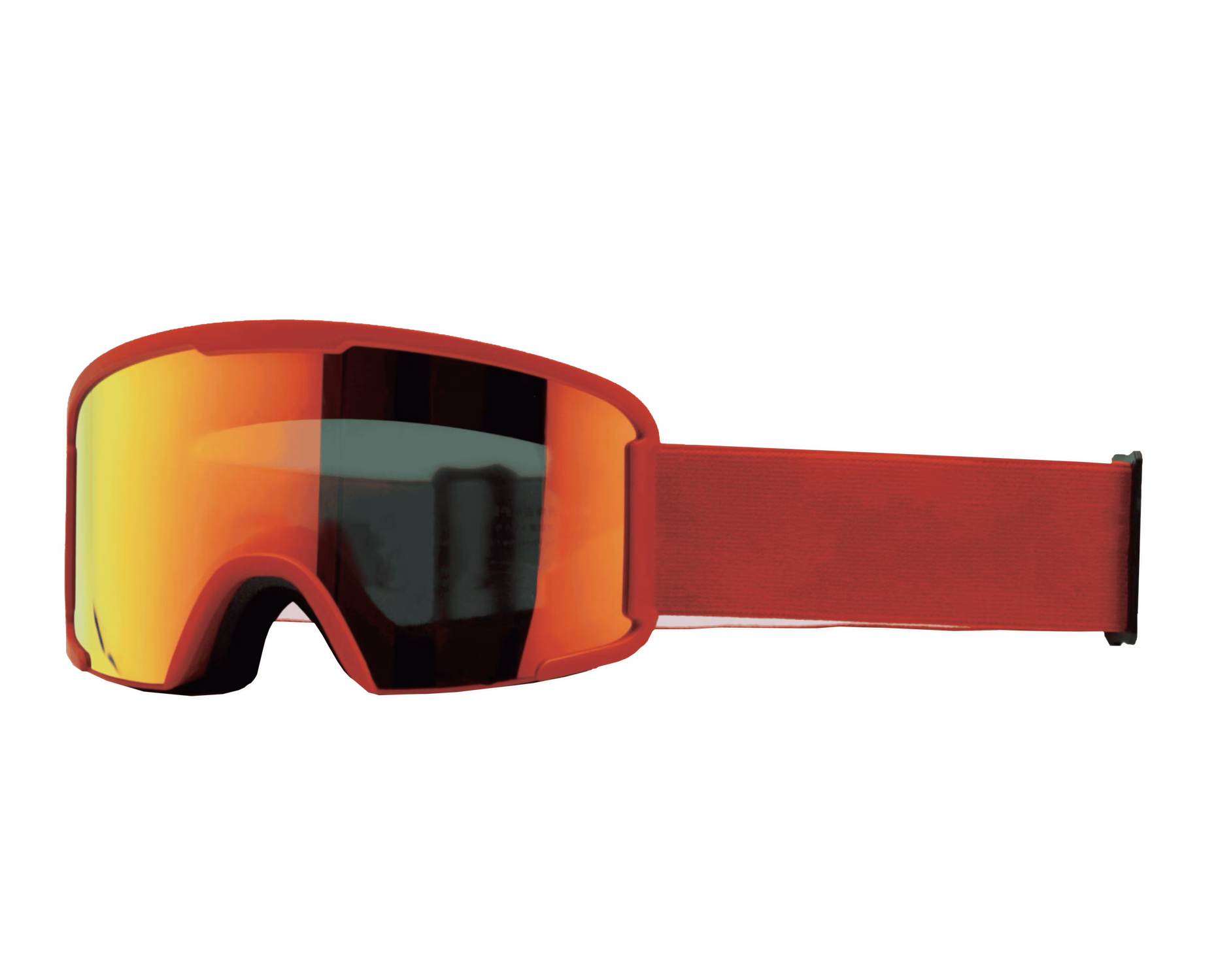 Pro Ski Goggles